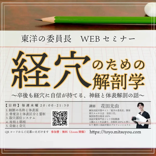 【経穴のための解剖学】アーカイブ映像